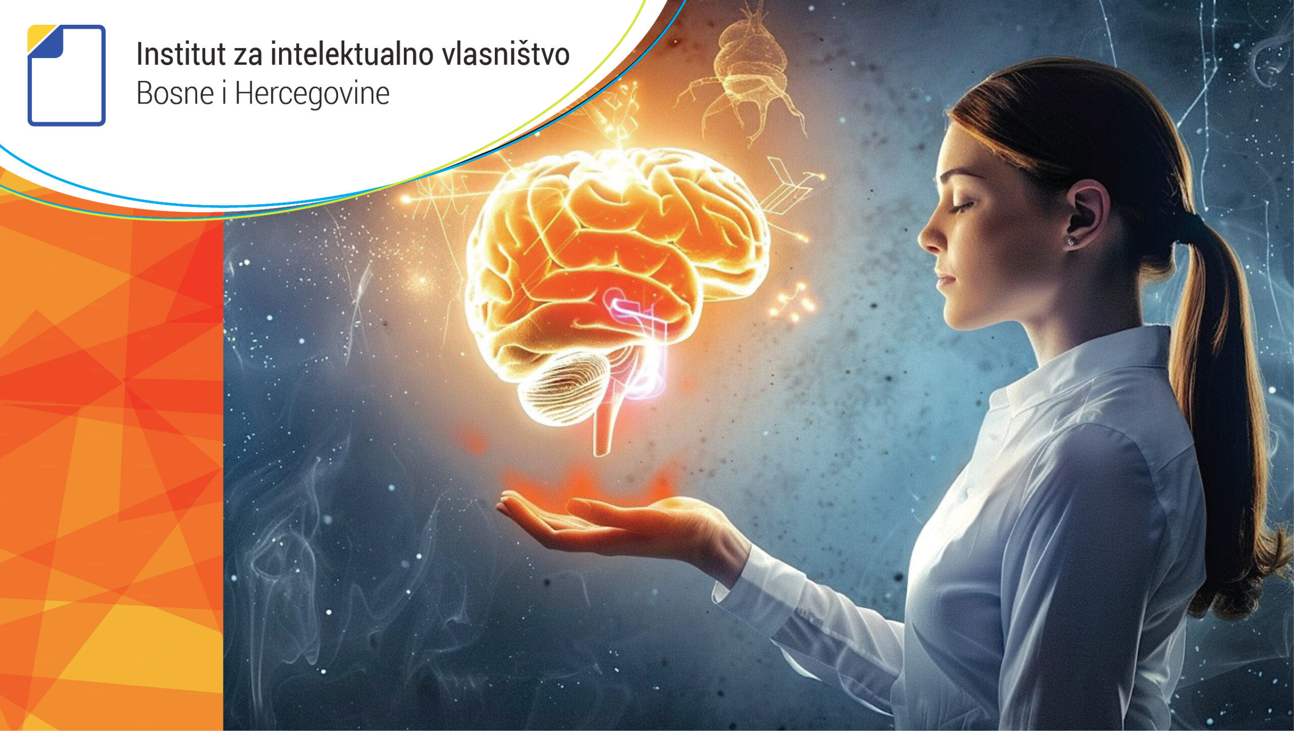 Zaštita intelektualnog vlasništva u Bosni i Hercegovini i inostranstvu
